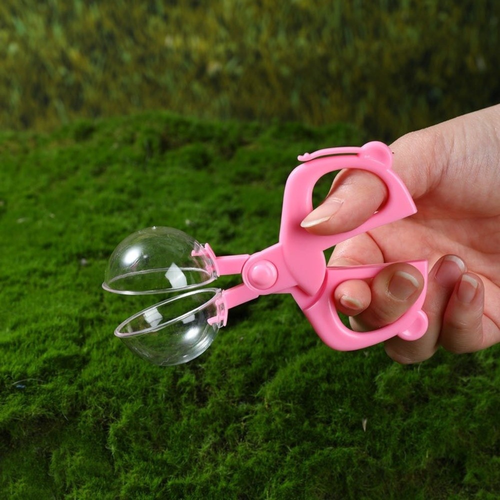 Plastic Kids Outdoor Explorer  - đánh giá và giá Kids Outdoor Explorer Kit
