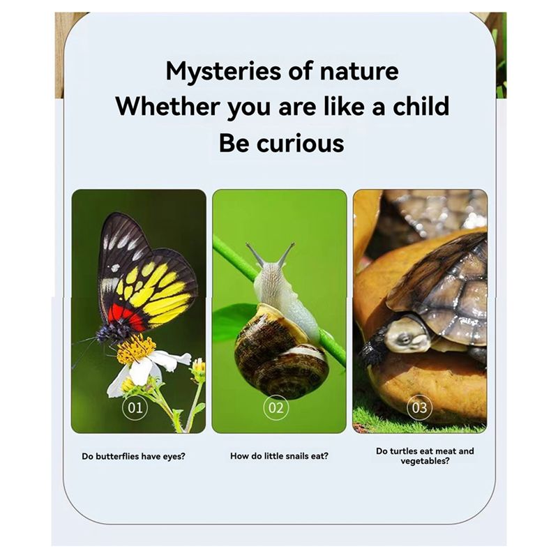 A67P-New Bug Viewer Outdoor In - đánh giá và giá Kids Outdoor Explorer Kit
